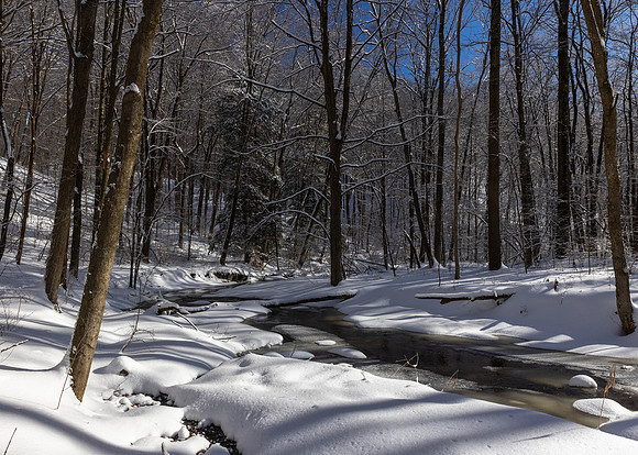 McConnells Mill State Park