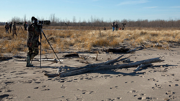 Gull Point
