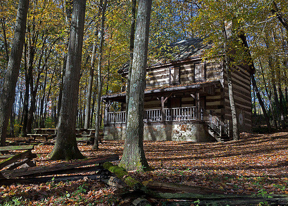Cabin in the Woods