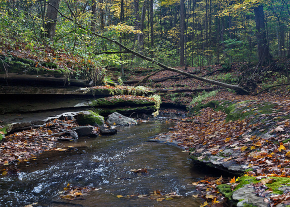 Hells Hollow