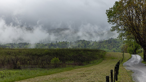 Cades Cove, GSMNP