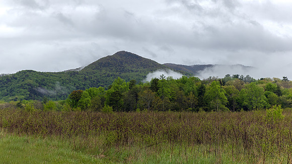 Cades Cove, GSMNP