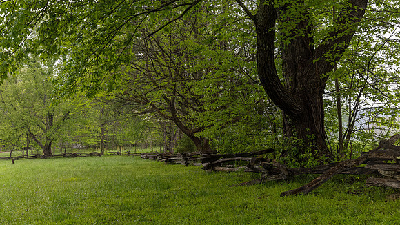 Cades Cove, GSMNP