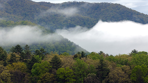 Cades Cove, GSMNP
