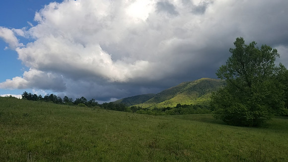 Cades Cove, GSMNP