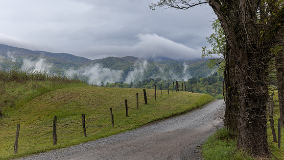 Cades Cove, GSMNP