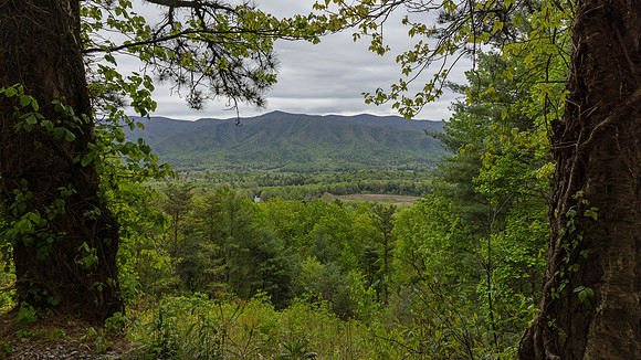 Cades Cove, GSMNP