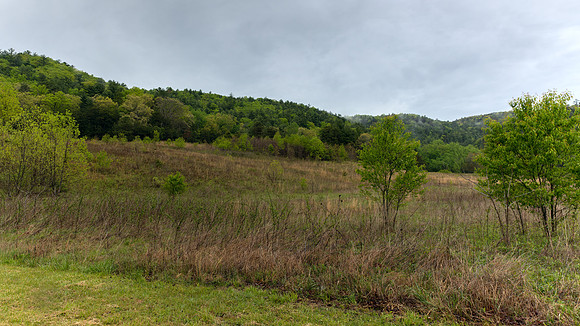 Cades Cove, GSMNP