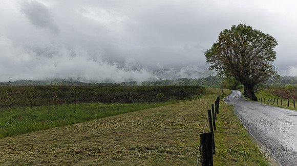 Cades Cove, GSMNP