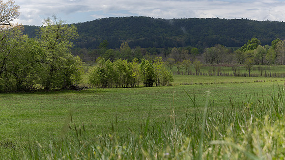 Cades Cove, GSMNP