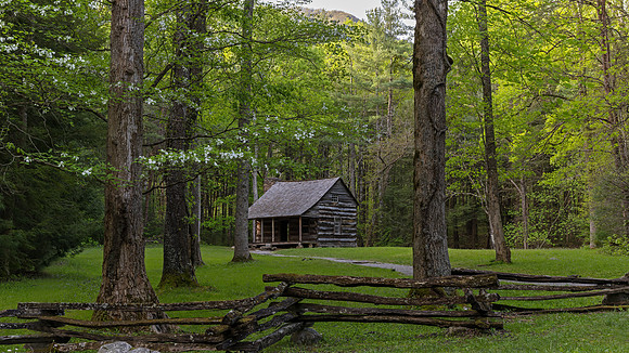 Cades Cove, GSMNP