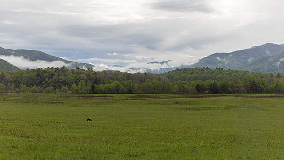 Cades Cove, GSMNP