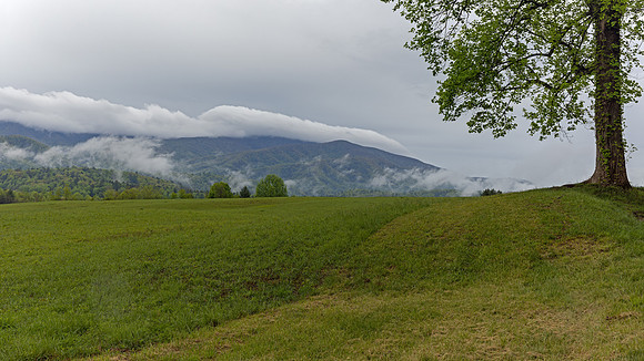 Cades Cove, GSMNP