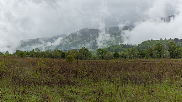 Cades Cove, GSMNP