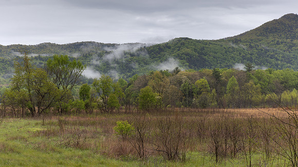 Cades Cove, GSMNP