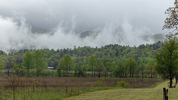 Cades Cove, GSMNP