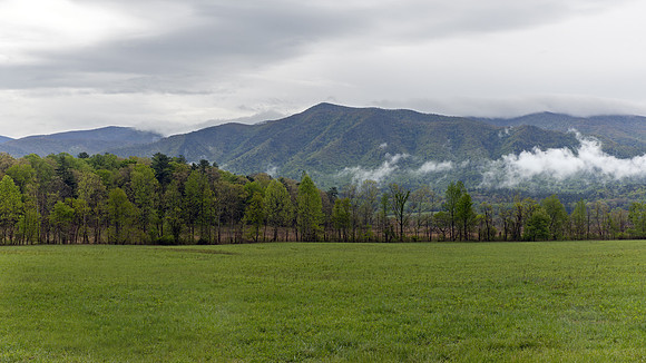 Cades Cove, GSMNP