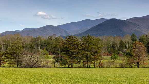 Cades Cove, GSMNP