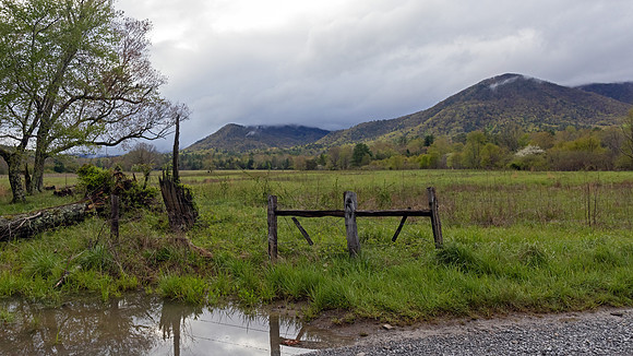 Cades Cove, GSMNP