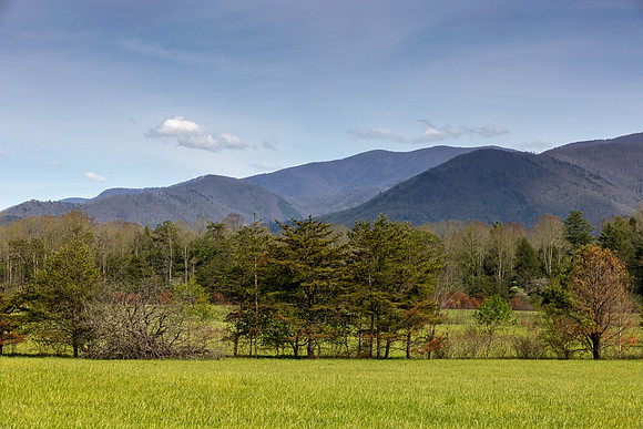 Cades Cove, GSMNP