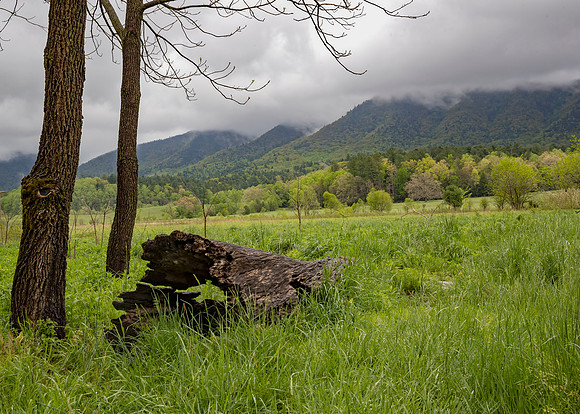 Cades Cove, Smoky Mountain National Park, TN