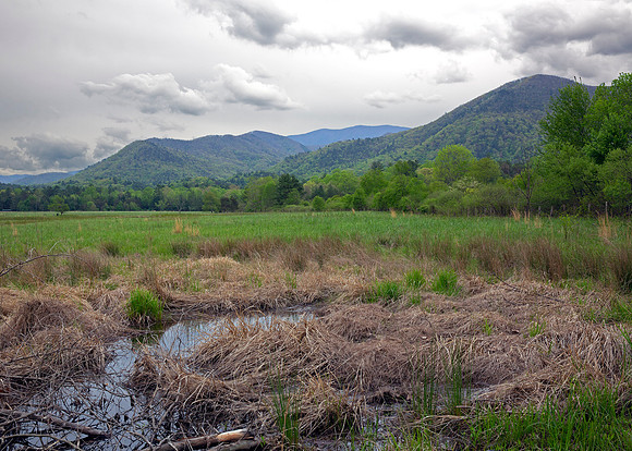 Cades Cove, Smoky Mountain National Park, TN