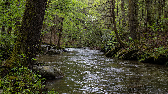 Cades Cove, Smoky Mountain National Park, TN
