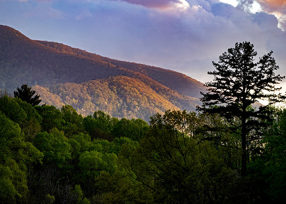 Cades Cove, Smoky Mountain National Park, TN
