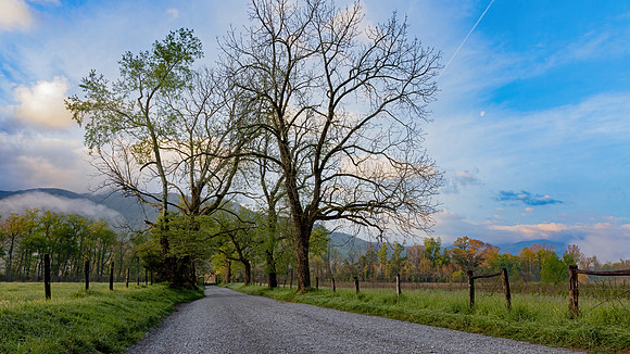 Cades Cove, GSMNP