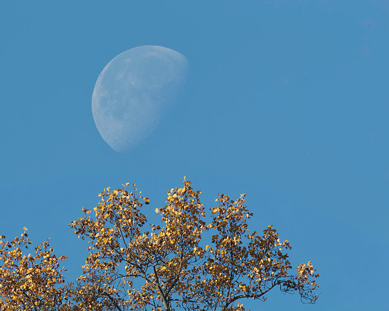 One Week After Super Moon