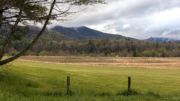 Cades Cove, GSMNP