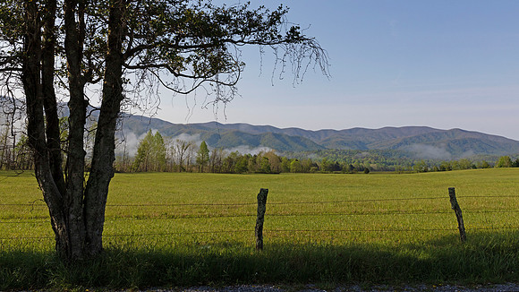 Cades Cove, GSMNP