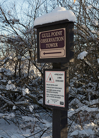 Scene along Gull Point Trail