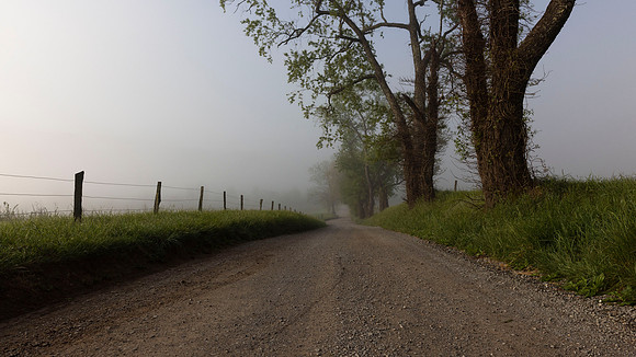 Cades Cove, GSMNP
