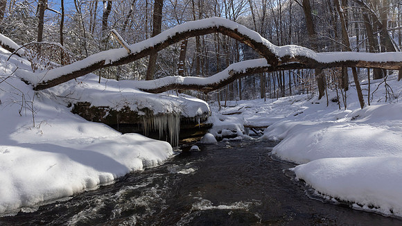 McConnells Mill State Park