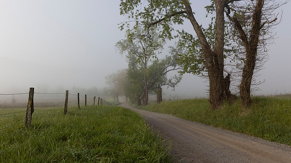 Cades Cove, GSMNP
