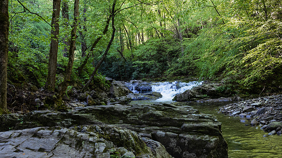 Laurel Creek