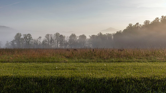 Cades Cove, GSMNP